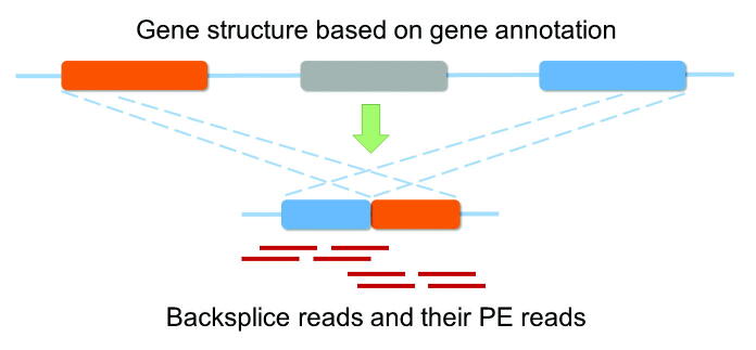 Supplementary figure 2