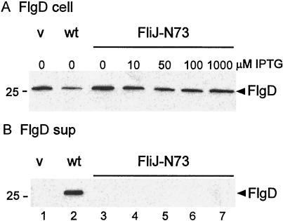 FIG. 5