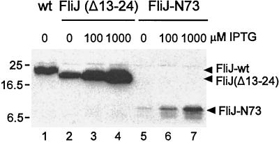 FIG. 7