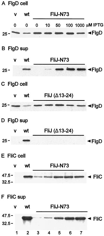 FIG. 4