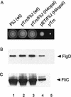 FIG. 8