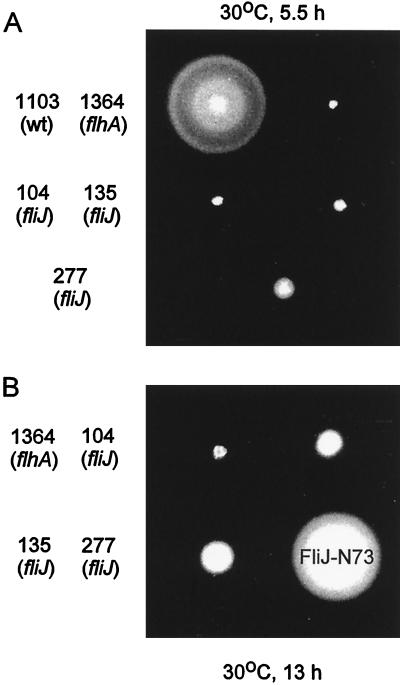 FIG. 2