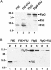 FIG. 9