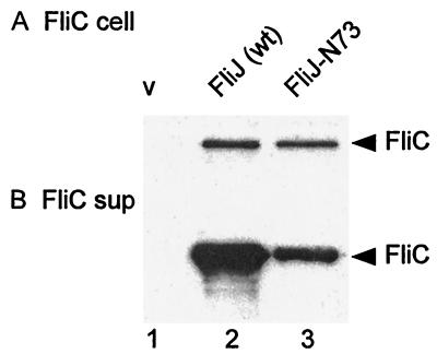 FIG. 6