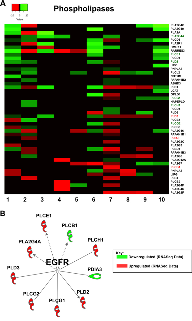 Figure 4: