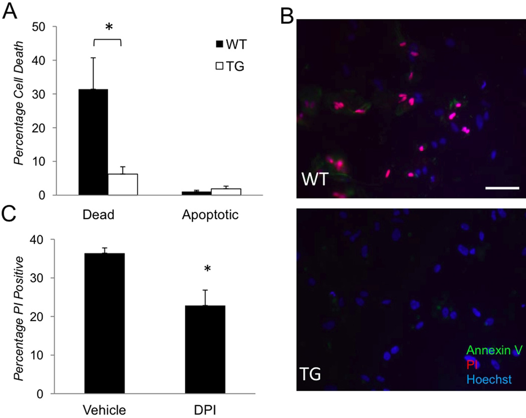 Figure 6