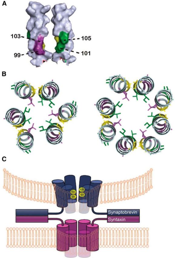 Figure 5.