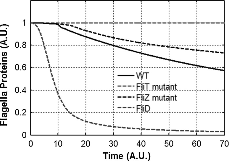 Fig. 7