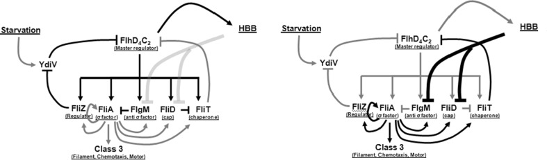 Fig. 9