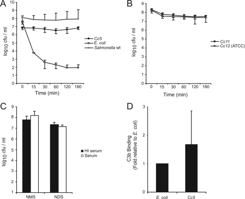 FIG. 1.