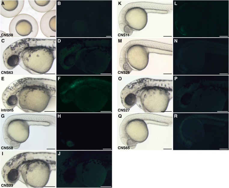 Fig. S6.