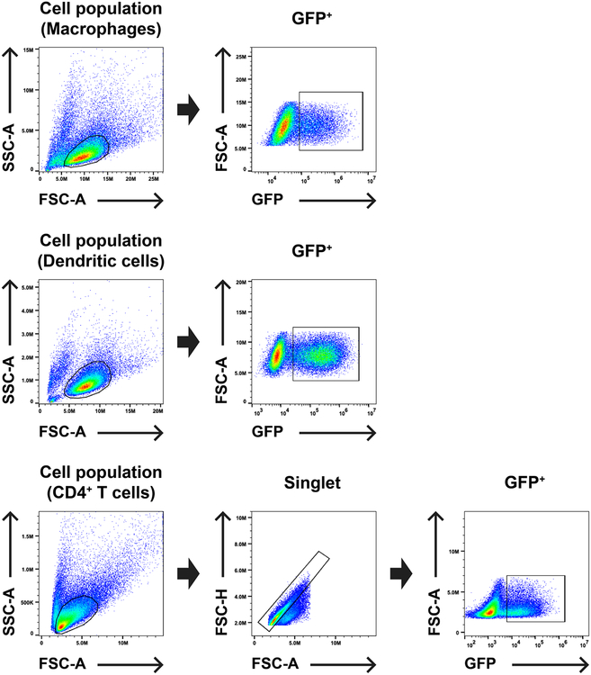 Extended Data Fig. 1