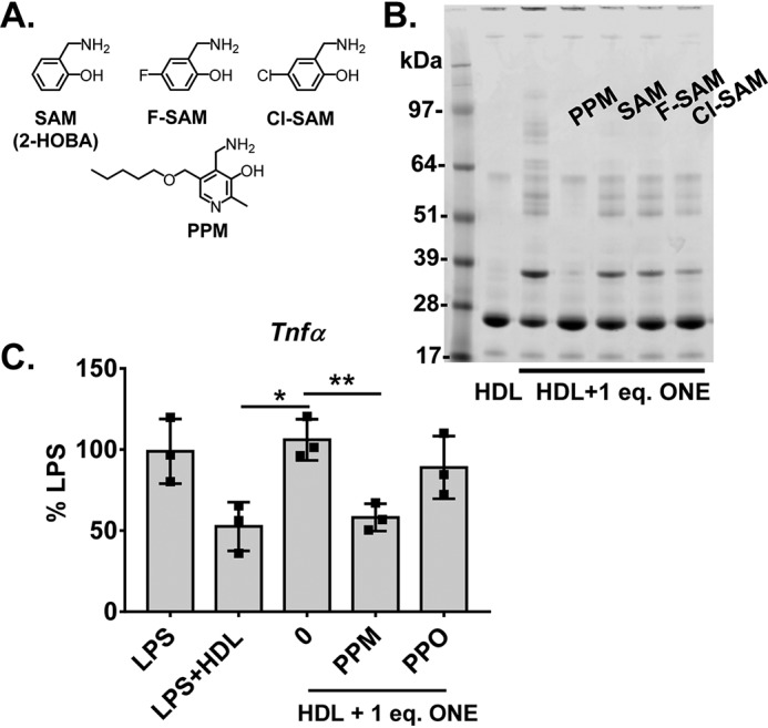 Figure 10.