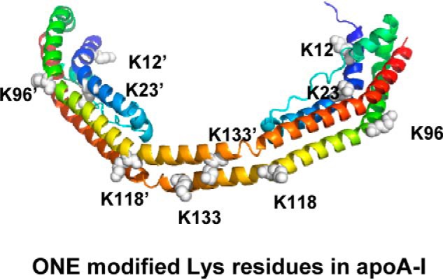 Figure 11.