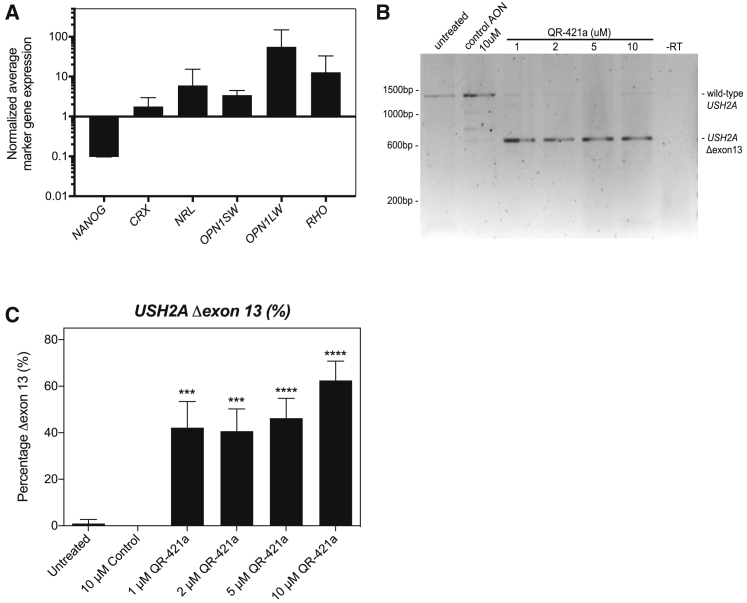Figure 4