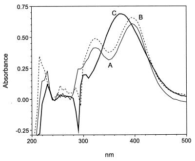 FIG. 6