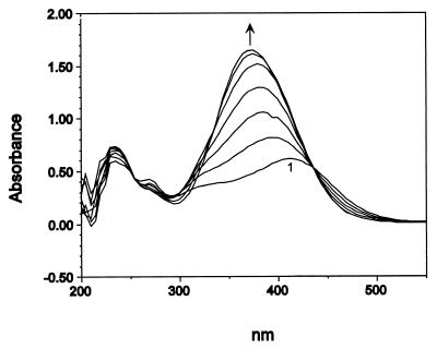 FIG. 5