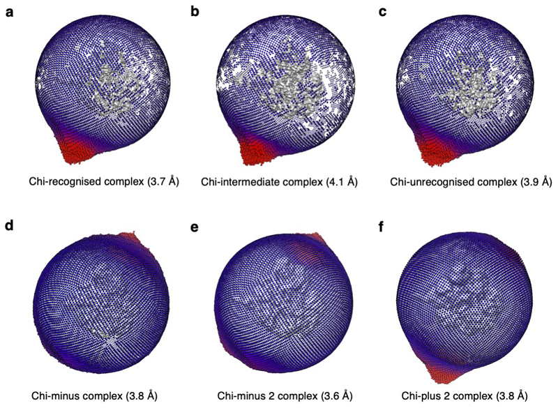 Extended Data Figure 6