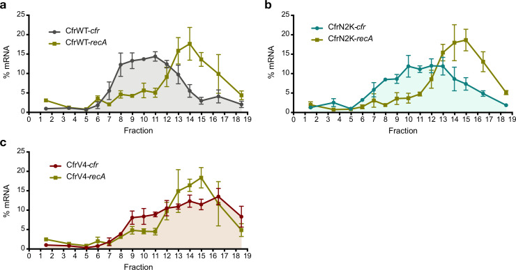 Figure 4—figure supplement 1.