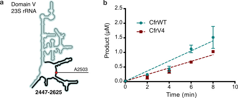 Figure 2—figure supplement 2.