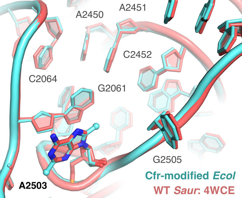 Figure 5—figure supplement 3.