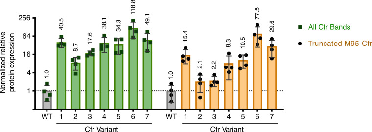 Figure 2—figure supplement 4.