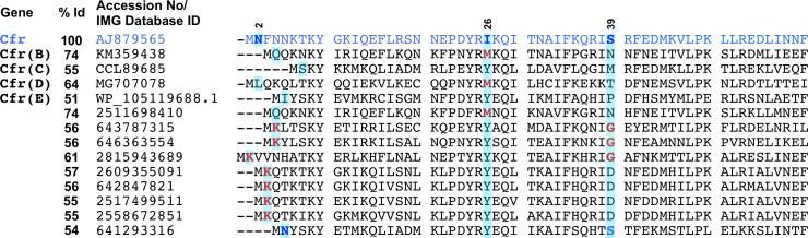 Figure 4—figure supplement 5.