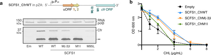 Figure 6—figure supplement 1.