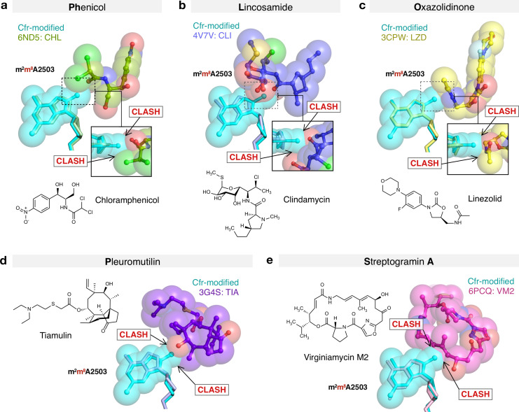 Figure 5—figure supplement 4.