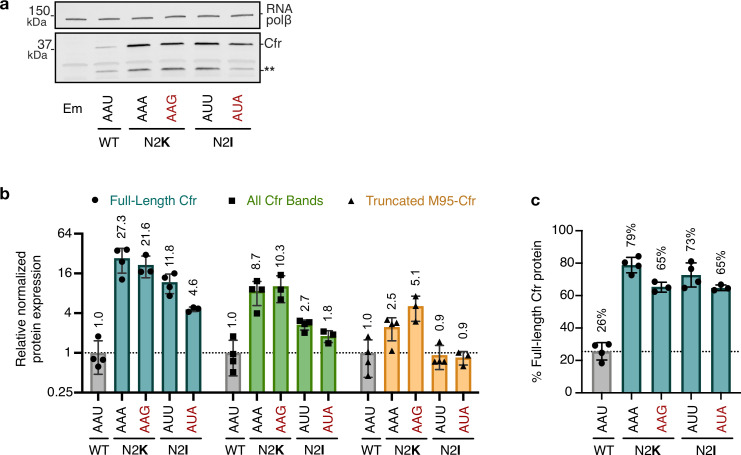 Figure 4—figure supplement 2.