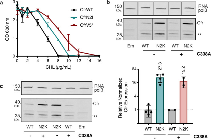 Figure 3—figure supplement 2.