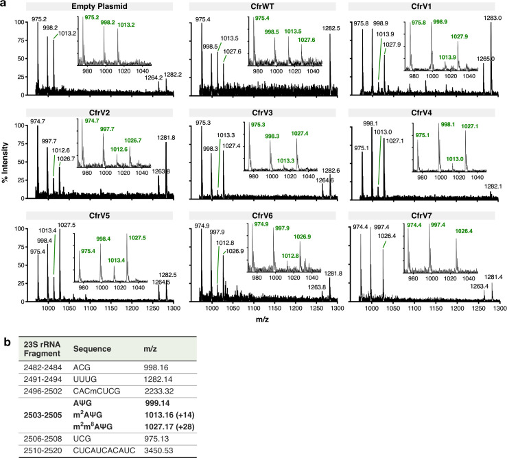 Figure 2—figure supplement 1.