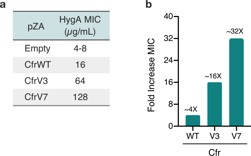 Figure 1—figure supplement 1.