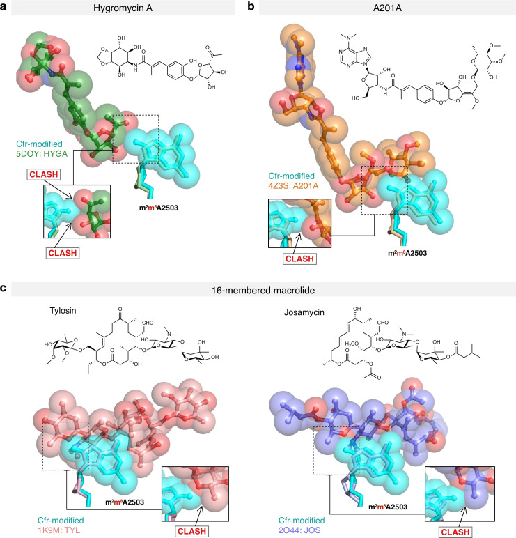 Figure 5—figure supplement 5.