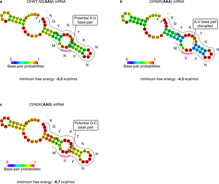 Figure 4—figure supplement 4.