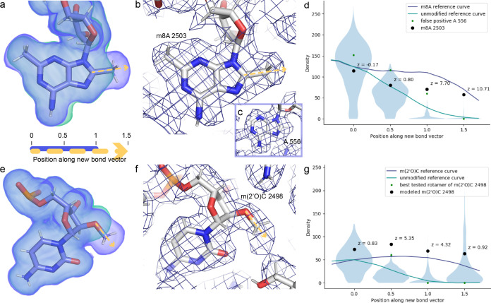 Figure 5—figure supplement 2.