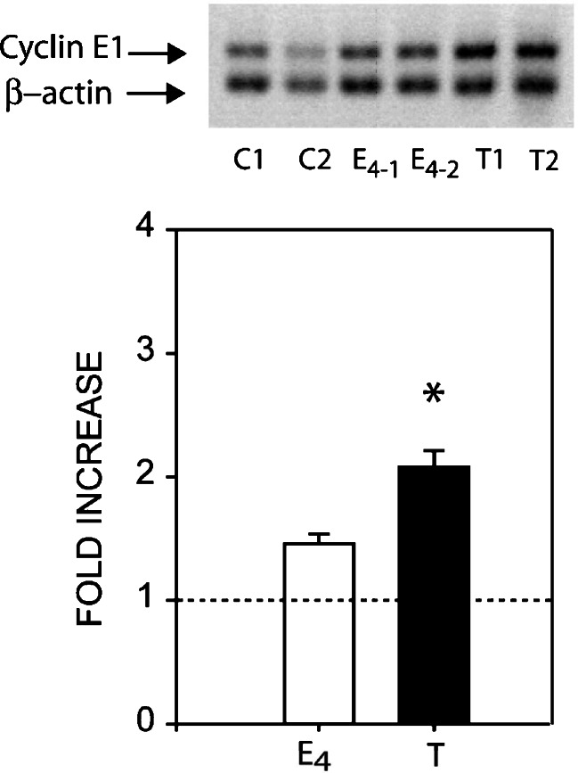 Fig. 6