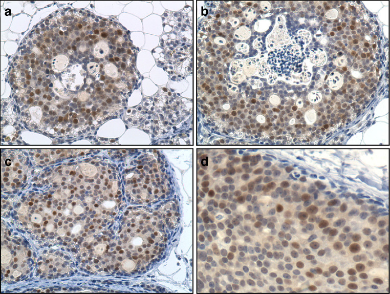 Fig. 5