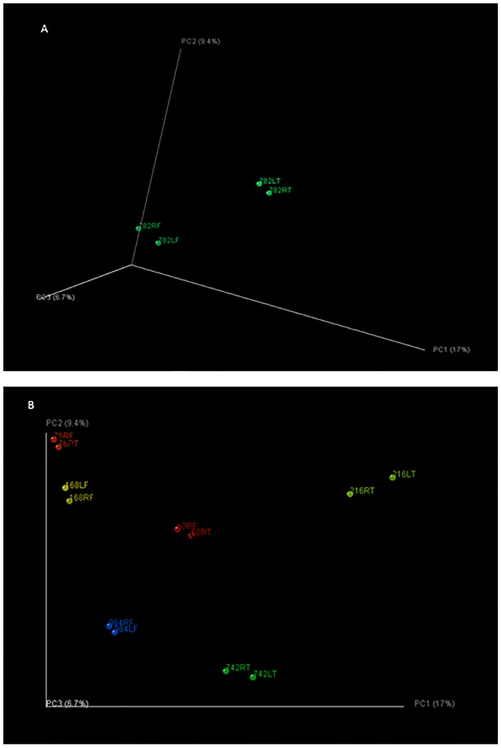 Fig 10