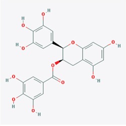 graphic file with name oncotarget-07-79557-g009.jpg