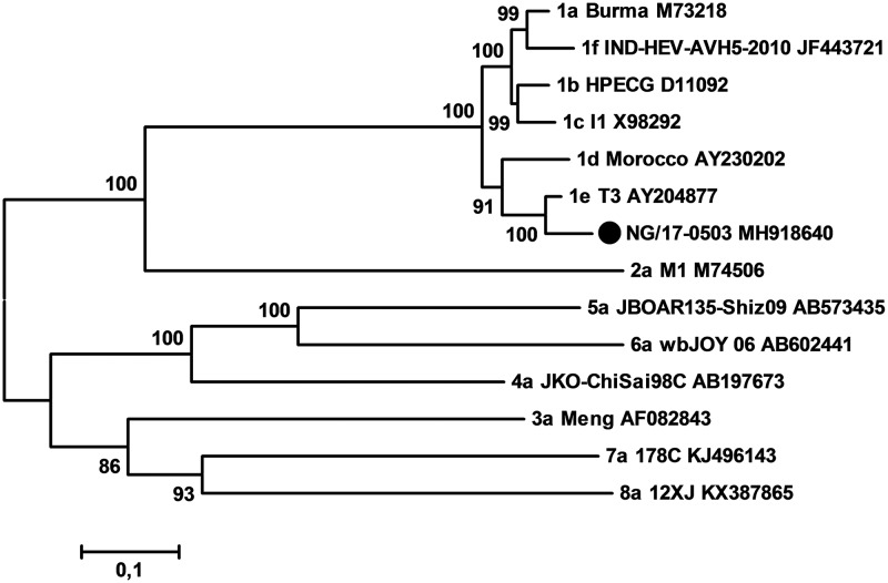 Fig 1