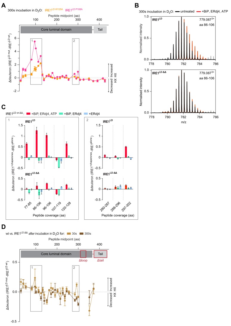 Figure 6—figure supplement 1.