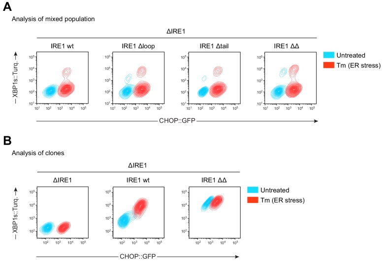 Figure 4—figure supplement 1.