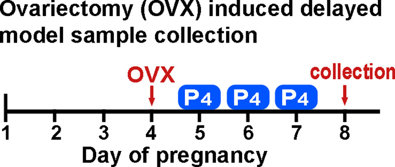 Figure 2—figure supplement 1.