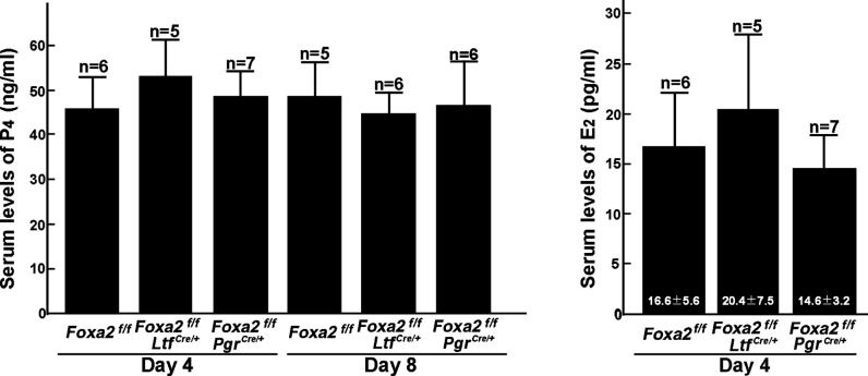 Figure 5—figure supplement 1.