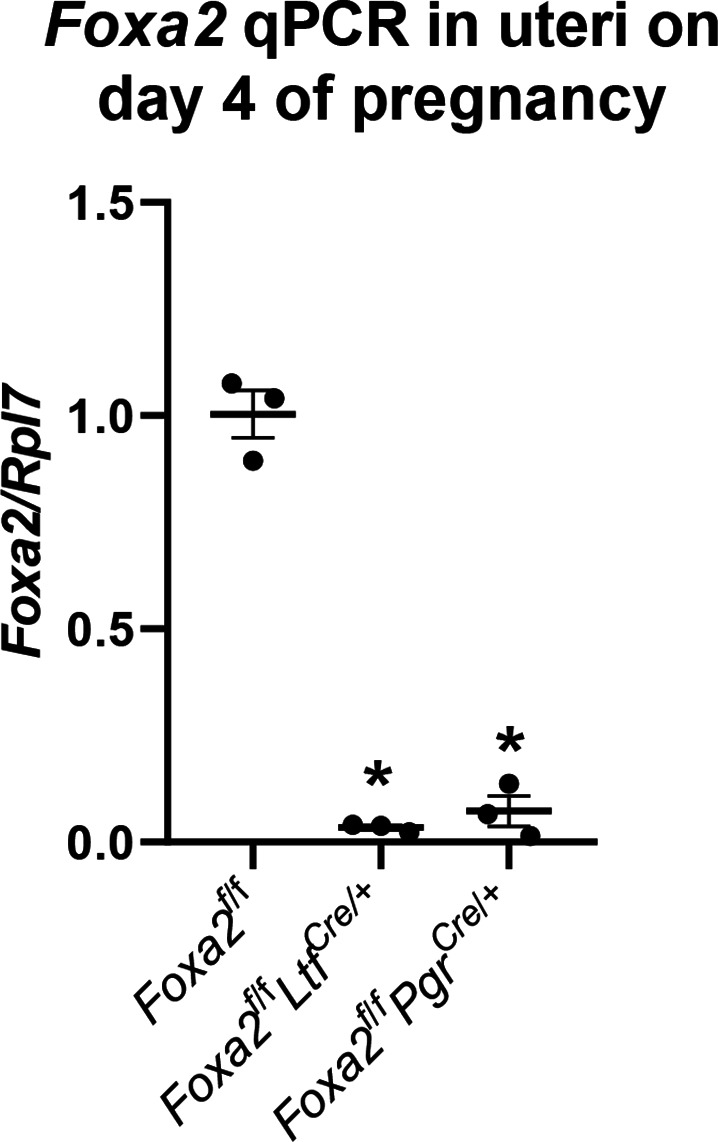 Figure 1—figure supplement 1.