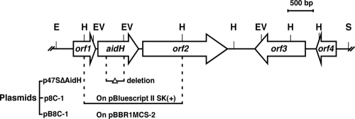 FIG. 1.