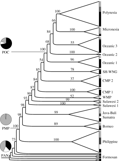 Figure 2.