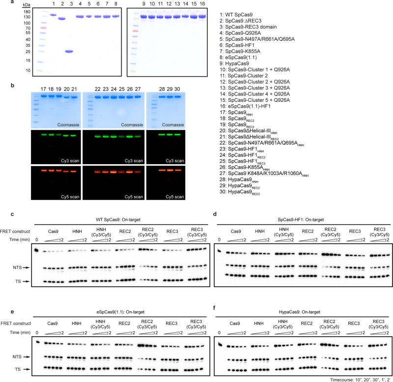 Extended Data Figure 1