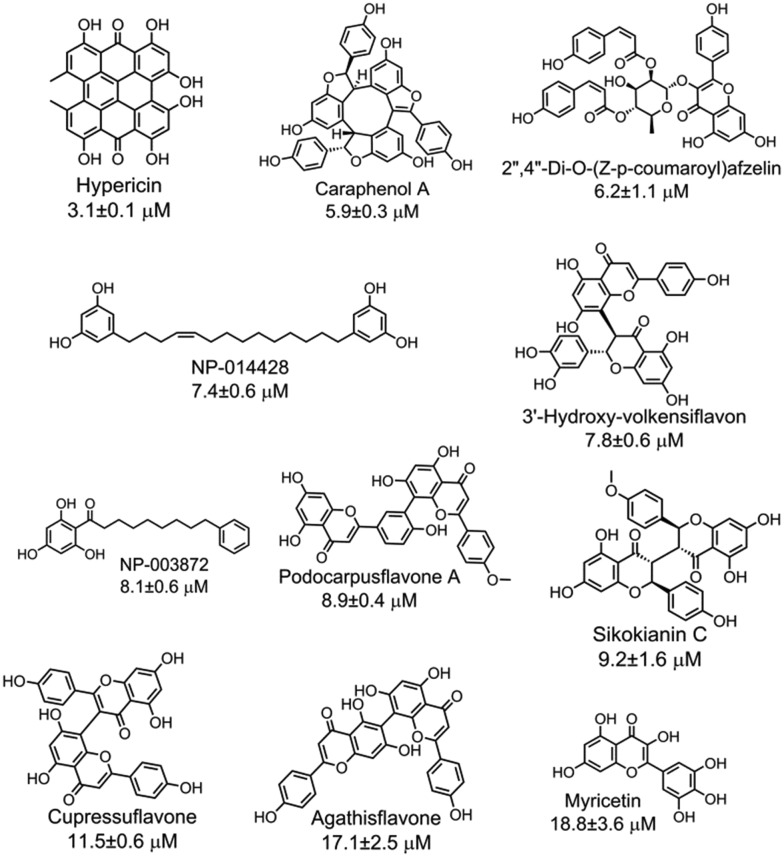 Fig. 2